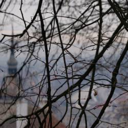 Avoidant (POR) : Birth in Carpathia